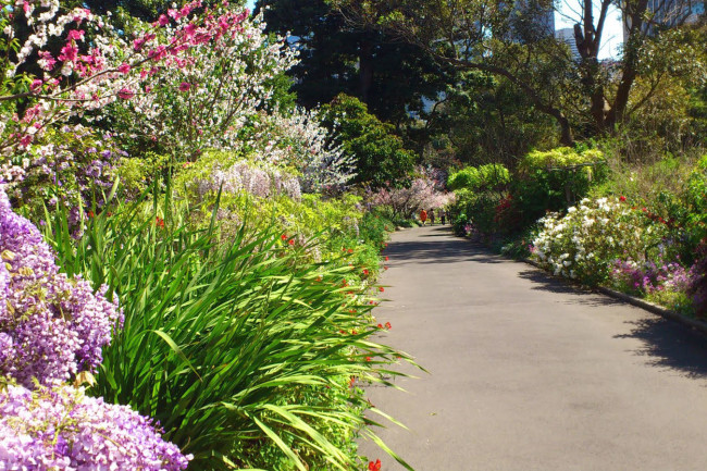 Gather-mag_Sydney_Royal-Botanic-Gardens