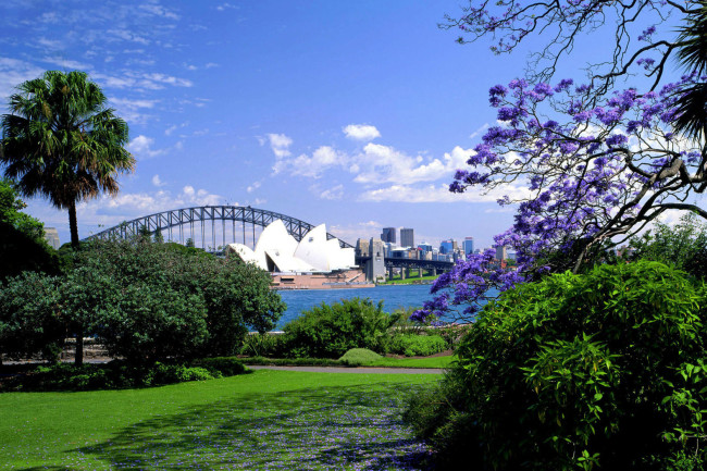 Gather-mag_Sydney_Royal-Botanic-Gardens