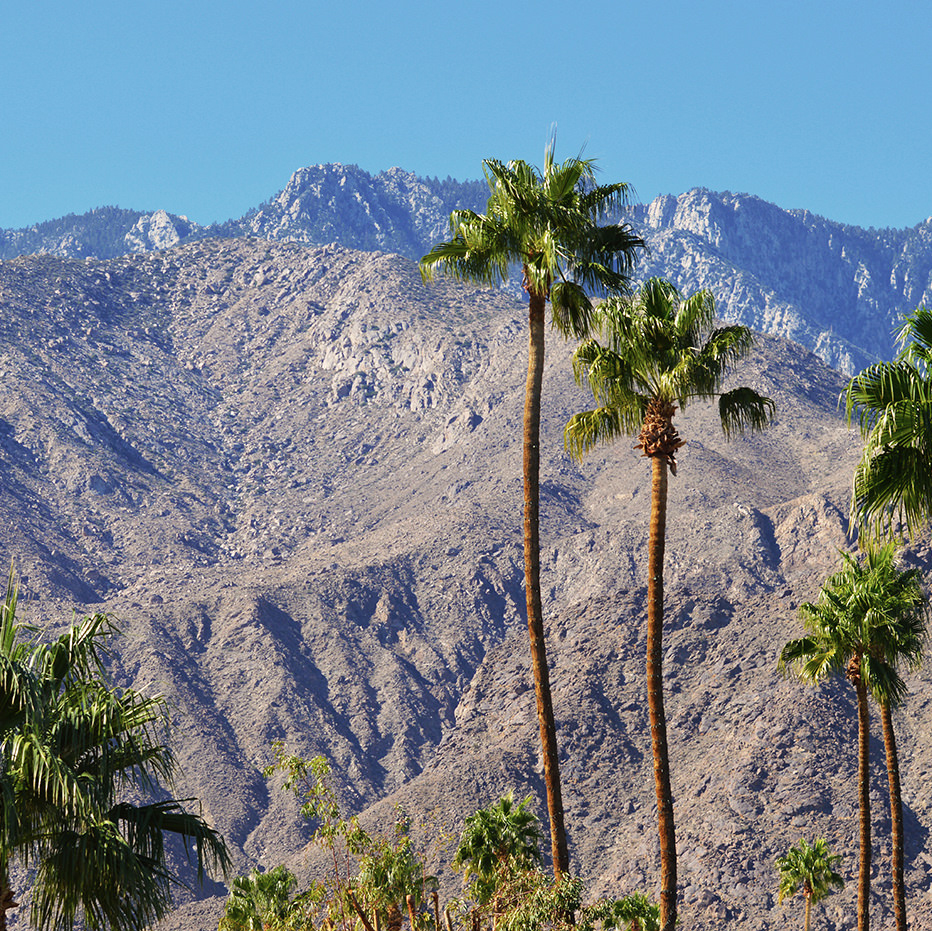Gather-mag_palm-springs_hiking